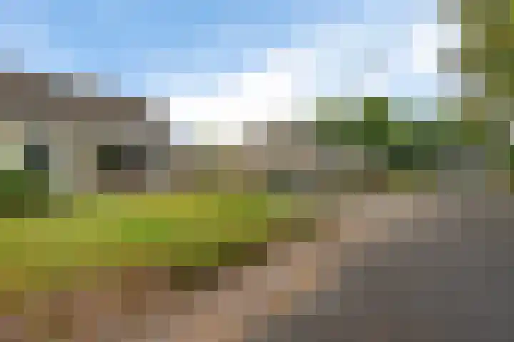 Wibautstraat 3 Veenoord thumbnail 32