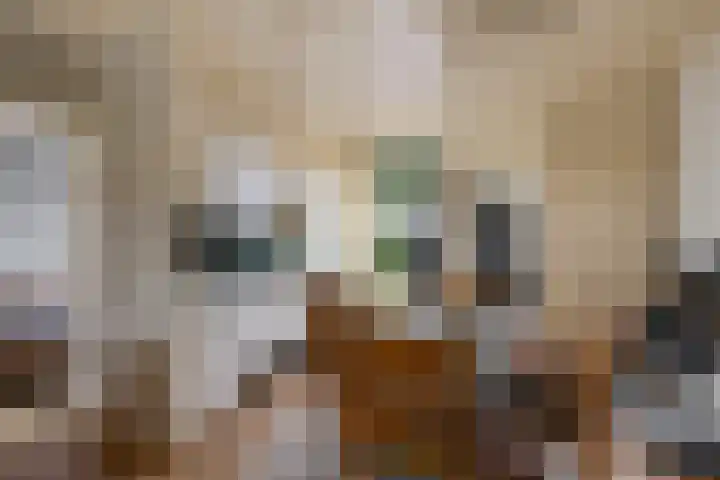 Wibautstraat 3 Veenoord thumbnail 9