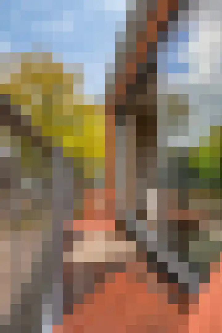 Wibautstraat 64 Utrecht thumbnail 23