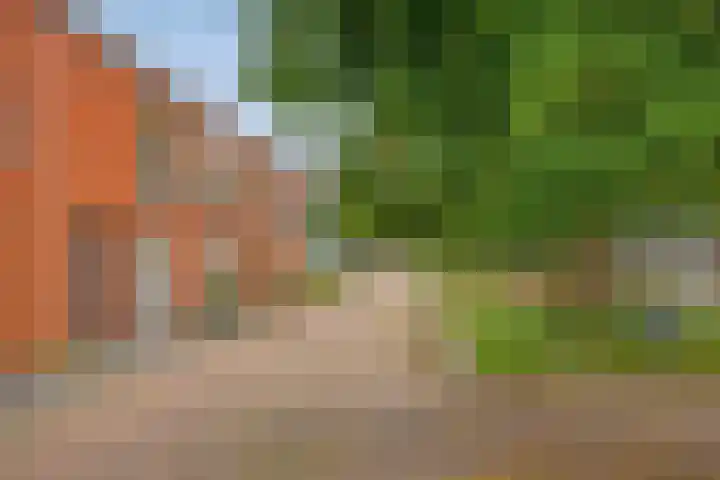 Wibautstraat 64 Utrecht thumbnail 5