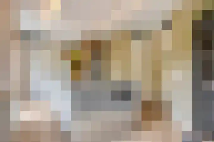Wibautstraat 64 Utrecht thumbnail 9