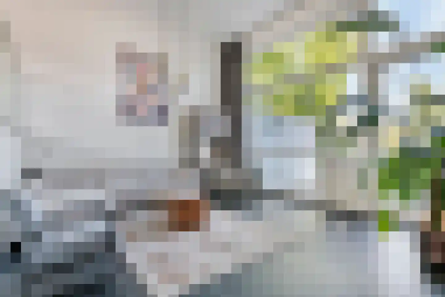 Wibautstraat 8 Meppel thumbnail 7