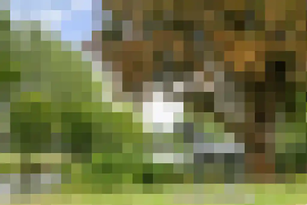 Wibautstraat 81 Utrecht thumbnail 39