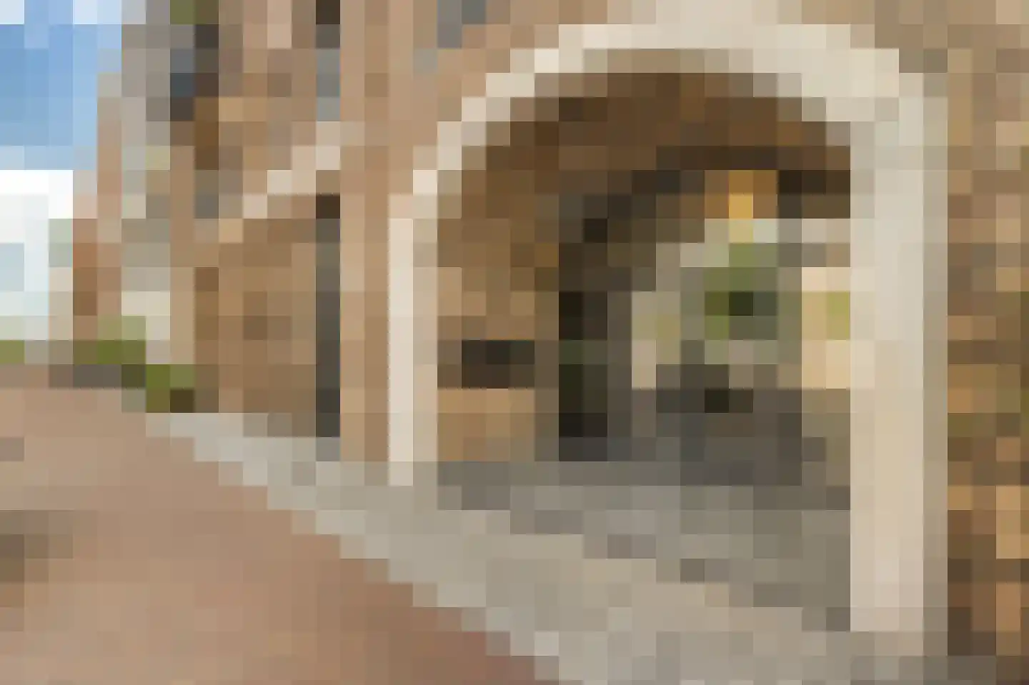 Wiborgeiland 104 Amsterdam thumbnail 31