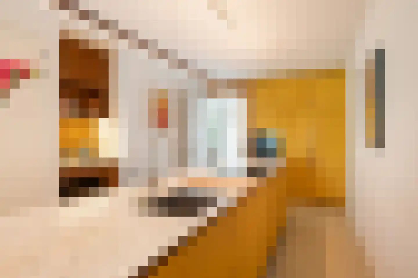 Wiborgeiland 111 Amsterdam thumbnail 11