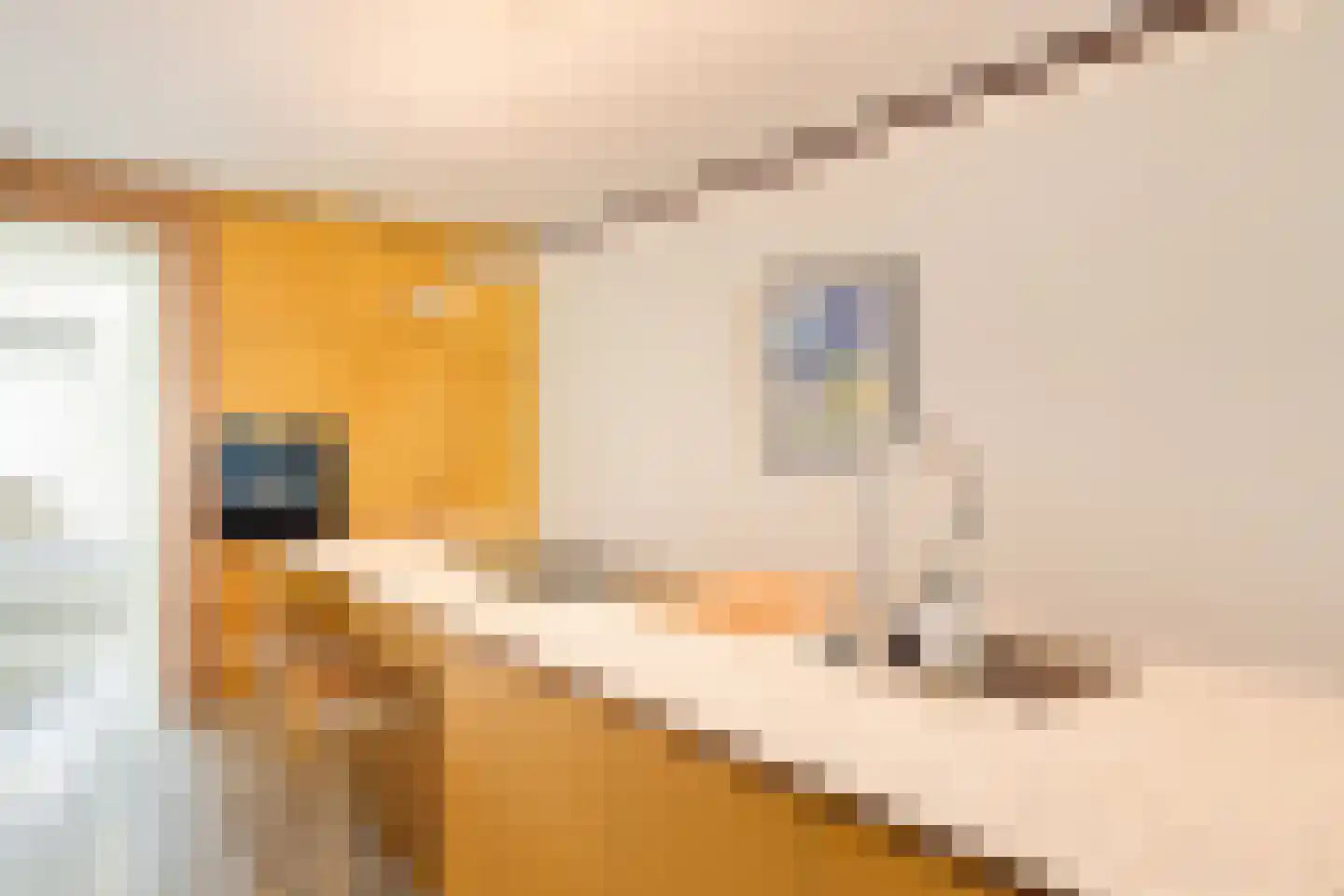 Wiborgeiland 111 Amsterdam thumbnail 13