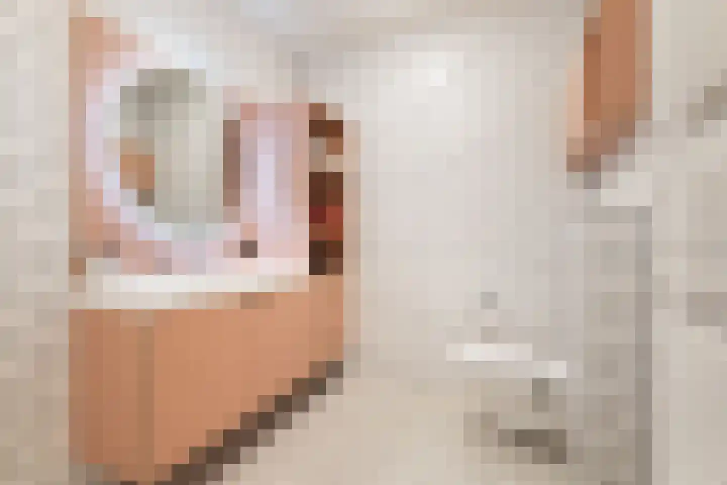 Wiborgeiland 111 Amsterdam thumbnail 22