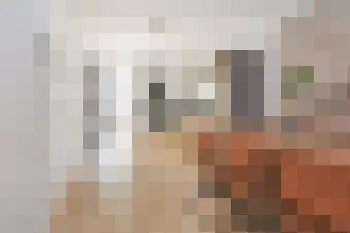 Wiborgeiland 116 Amsterdam thumbnail 5