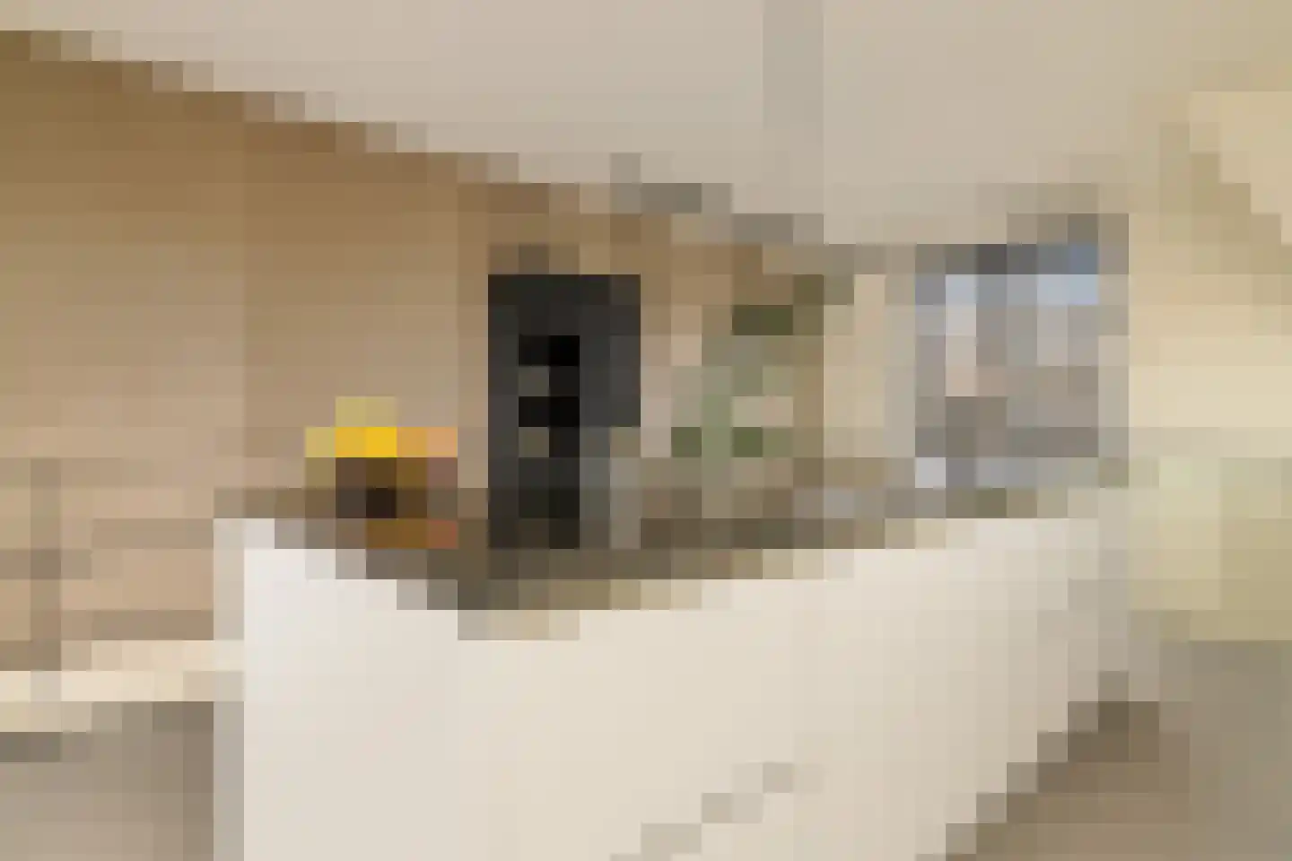 Wiborgeiland 139 Amsterdam thumbnail 17