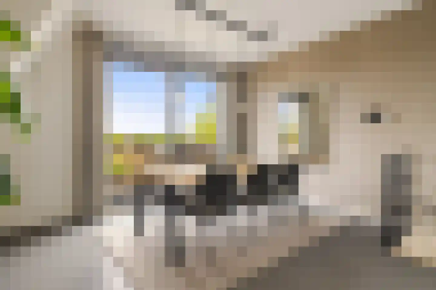 Wiborgeiland 139 Amsterdam thumbnail 22