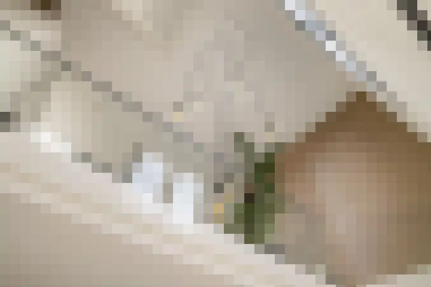 Wiborgeiland 139 Amsterdam thumbnail 9