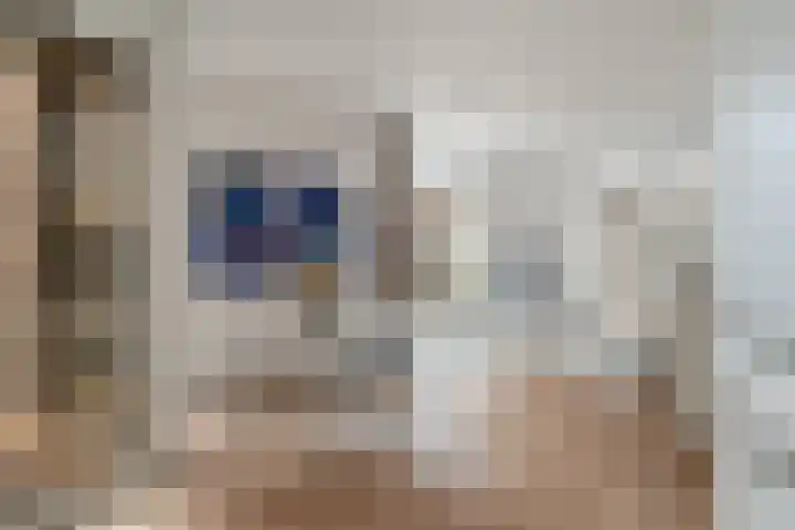 Wiborgeiland 188 Amsterdam thumbnail 13