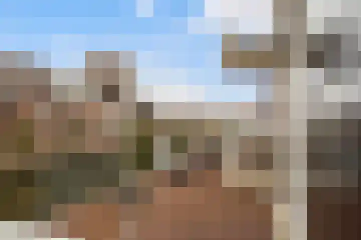 Wiborgeiland 188 Amsterdam thumbnail 34