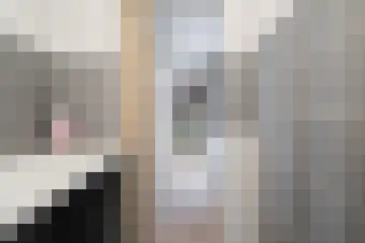 Wiborgeiland 188 Amsterdam thumbnail 40