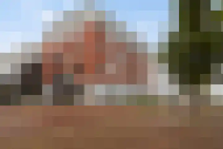 Wiborgeiland 188 Amsterdam thumbnail 42