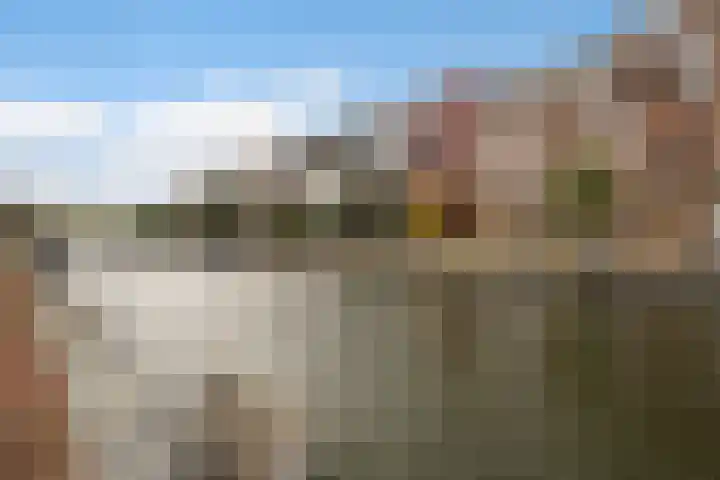 Wiborgeiland 188 Amsterdam thumbnail 44