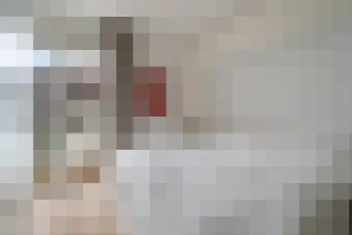 Wiborgeiland 188 Amsterdam thumbnail 5