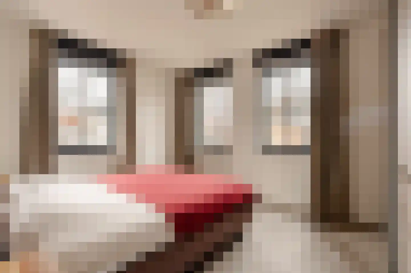 Wiborgeiland 89 Amsterdam thumbnail 17