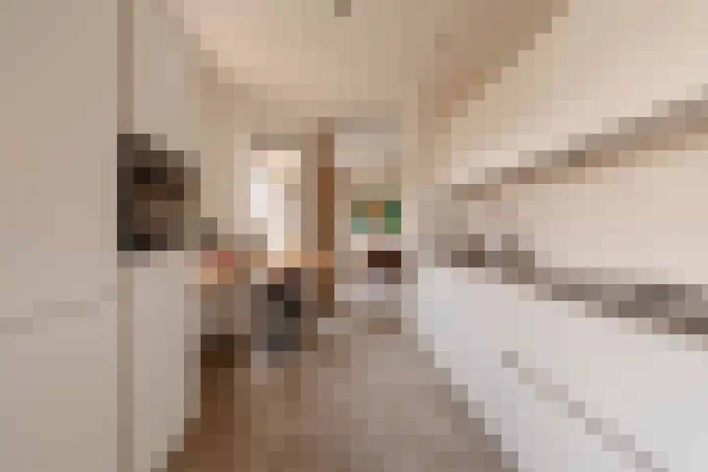 Wiborgeiland 89 Amsterdam thumbnail 7