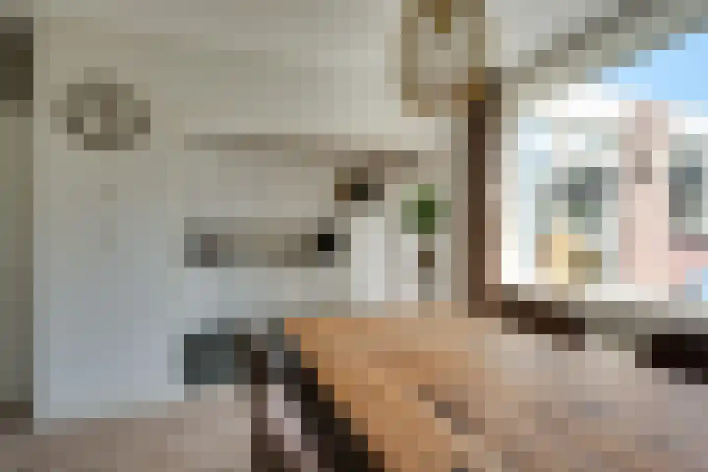 Wibrandstraat 26 Gerkesklooster thumbnail 11