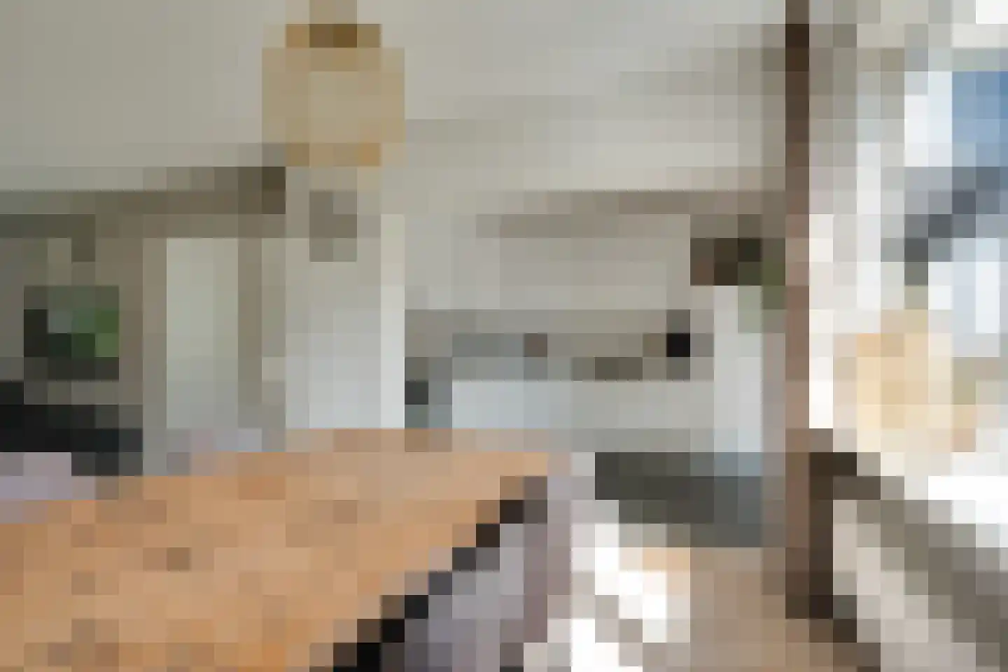 Wibrandstraat 26 Gerkesklooster thumbnail 12
