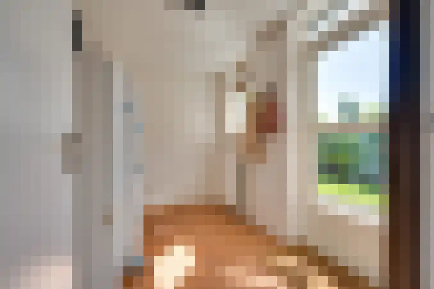 Wibrandstraat 26 Gerkesklooster thumbnail 18