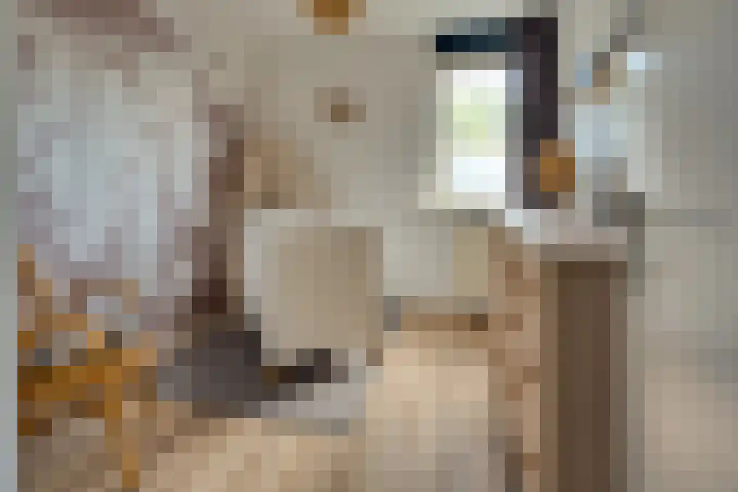 Wibrandstraat 26 Gerkesklooster thumbnail 27