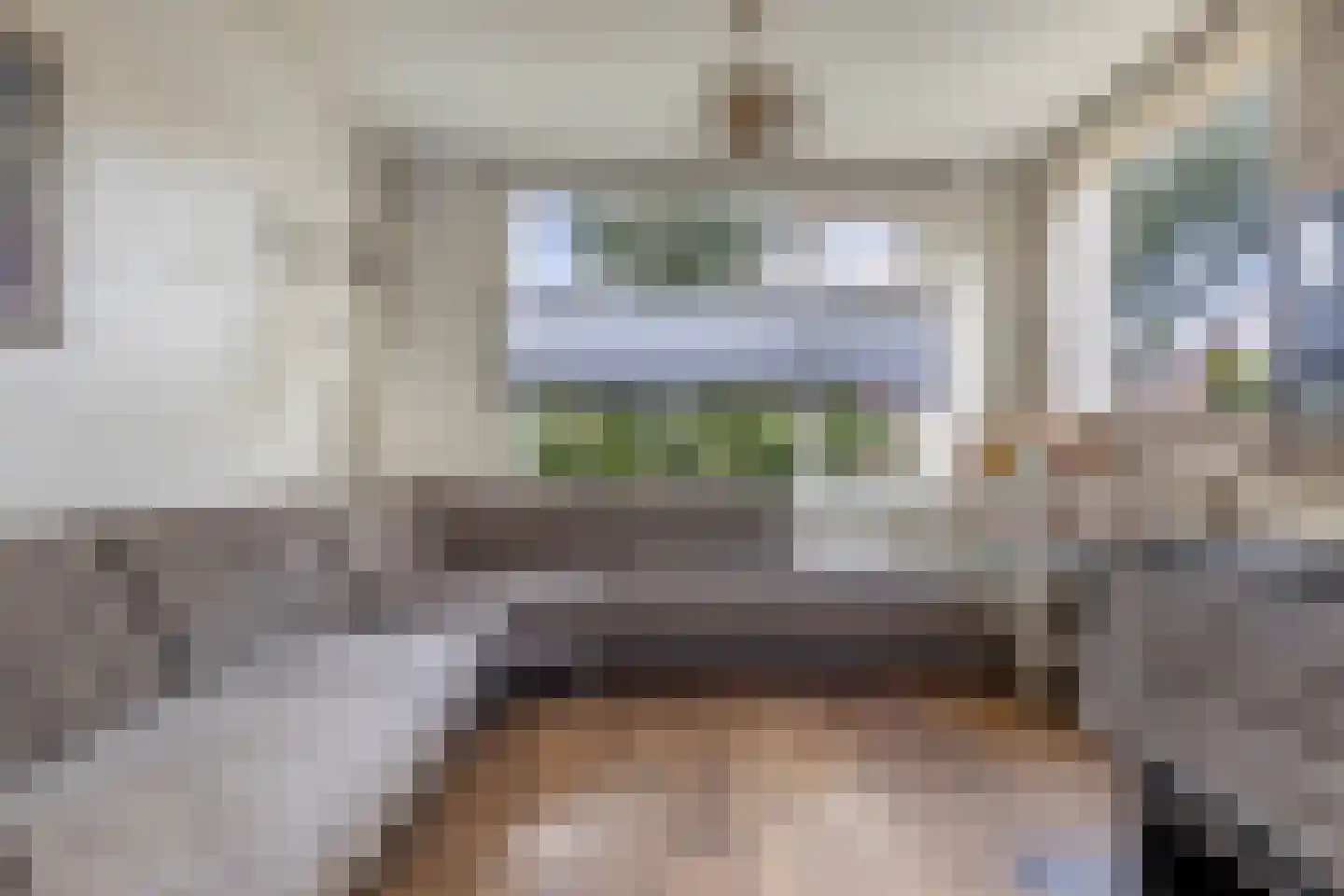 Wibrandus van Haschastraat 3 Oudehaske thumbnail 10