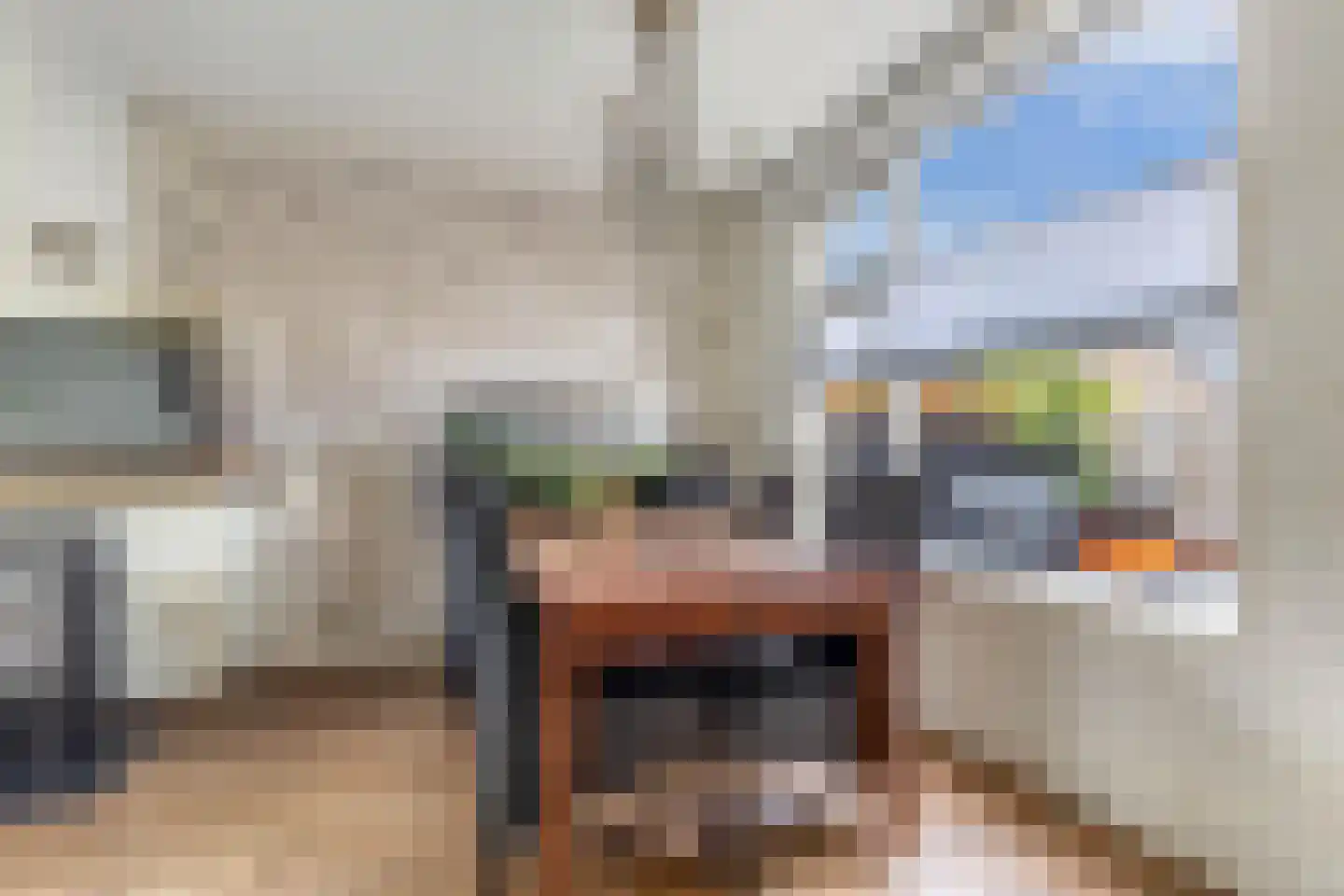 Wibrandus van Haschastraat 3 Oudehaske thumbnail 12