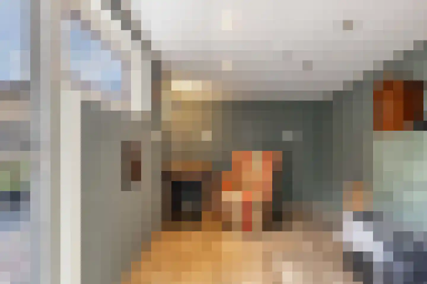 Wibrandus van Haschastraat 3 Oudehaske thumbnail 15
