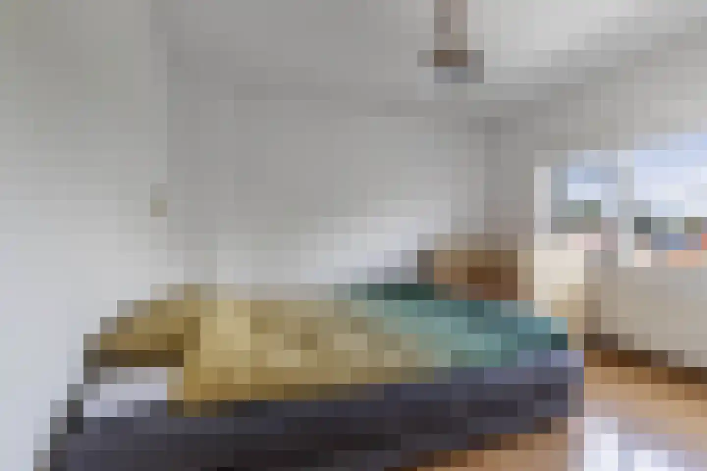 Wibrandus van Haschastraat 3 Oudehaske thumbnail 18