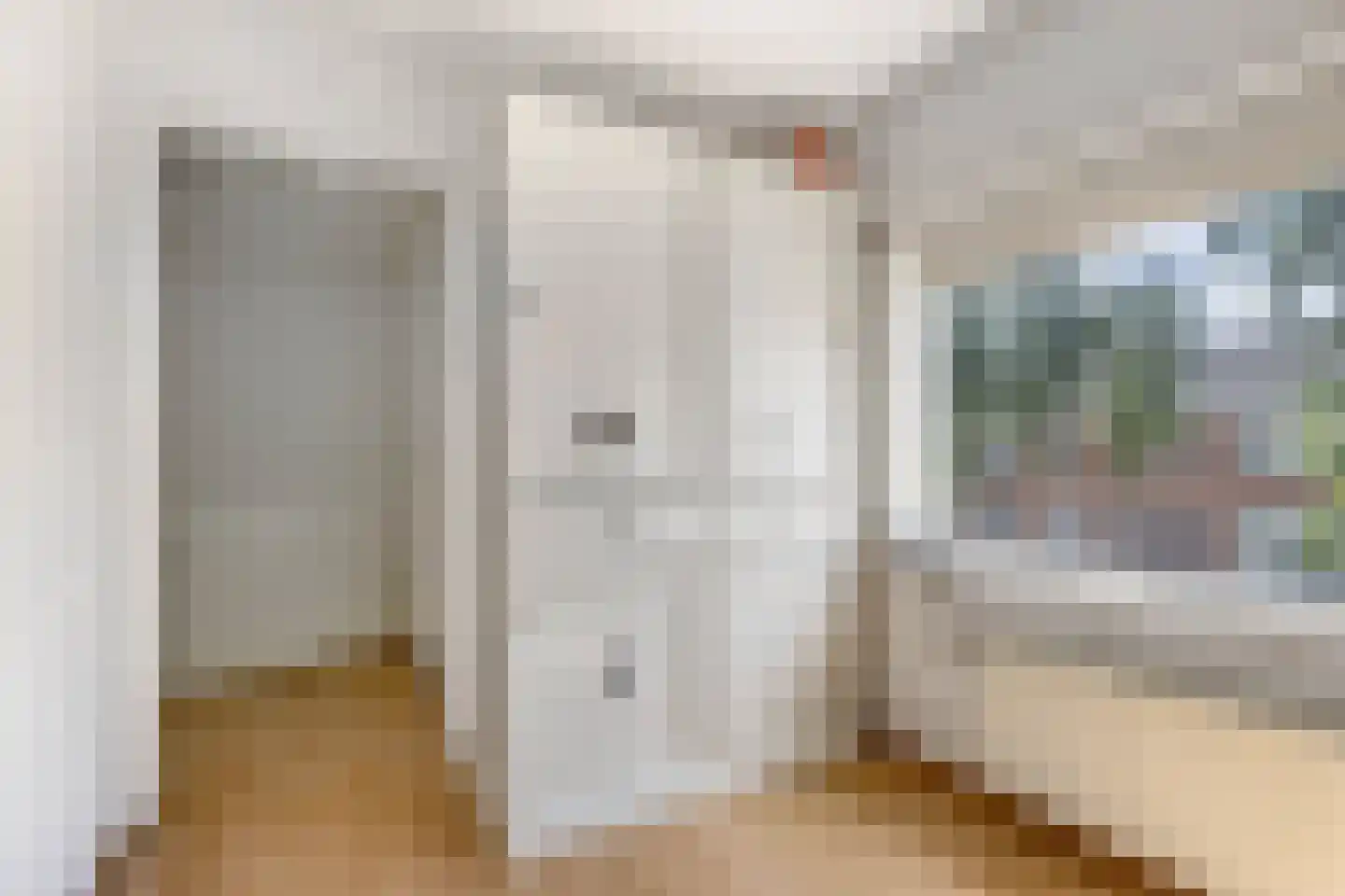 Wibrandus van Haschastraat 3 Oudehaske thumbnail 21