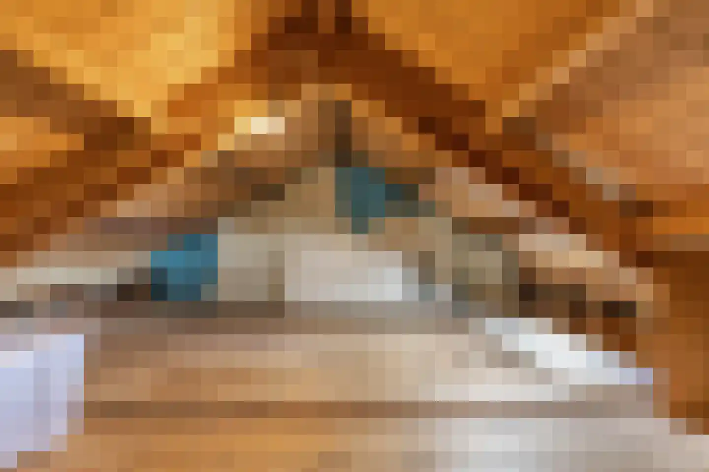 Wibrandus van Haschastraat 3 Oudehaske thumbnail 23