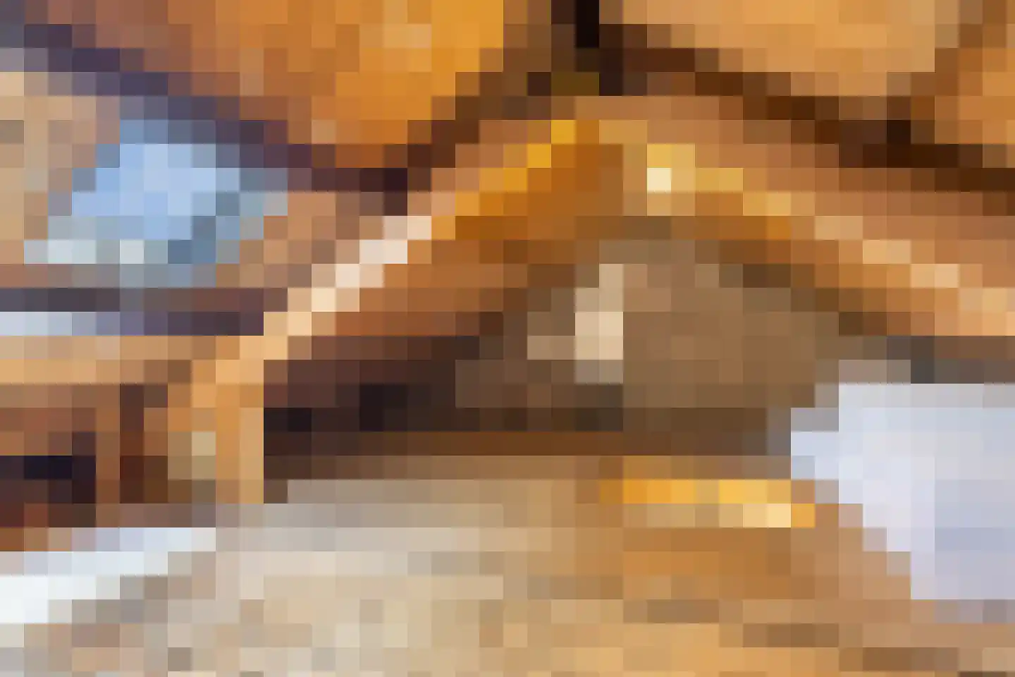 Wibrandus van Haschastraat 3 Oudehaske thumbnail 24