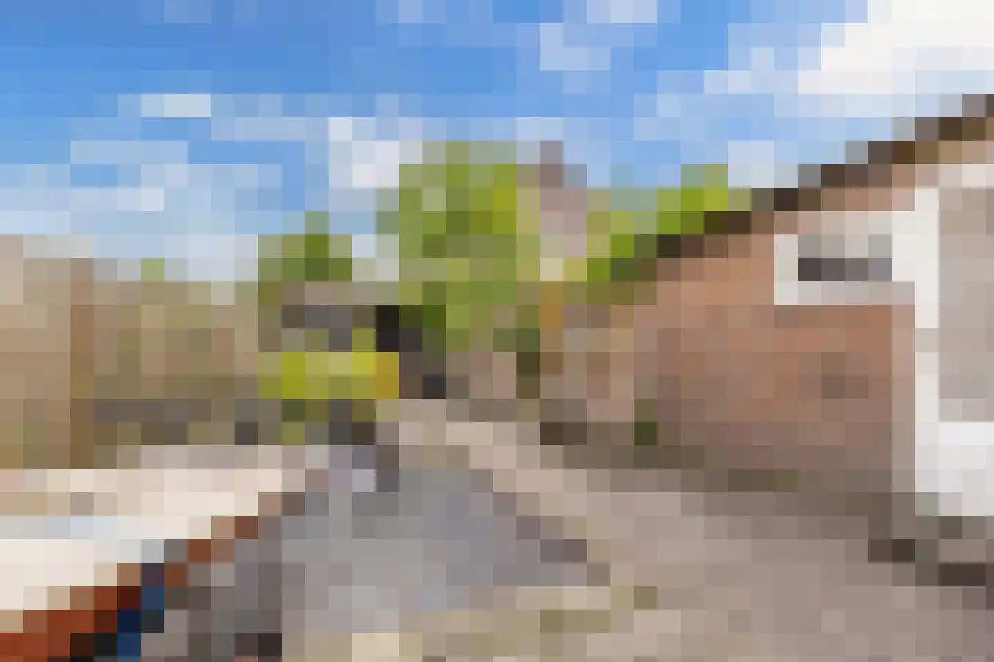 Wibrandus van Haschastraat 3 Oudehaske thumbnail 25