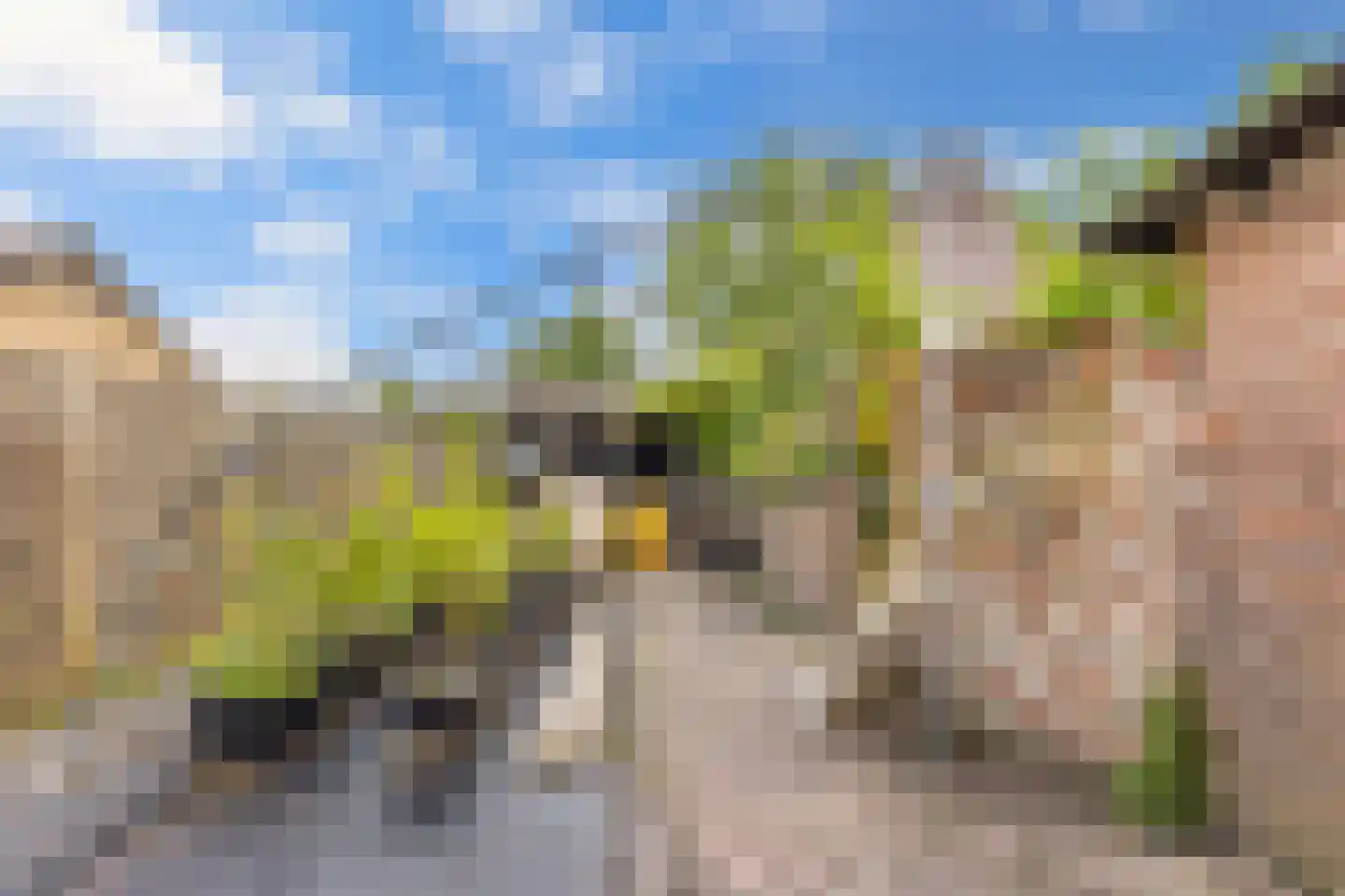 Wibrandus van Haschastraat 3 Oudehaske thumbnail 26
