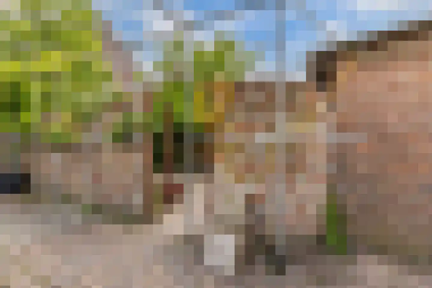 Wibrandus van Haschastraat 3 Oudehaske thumbnail 27
