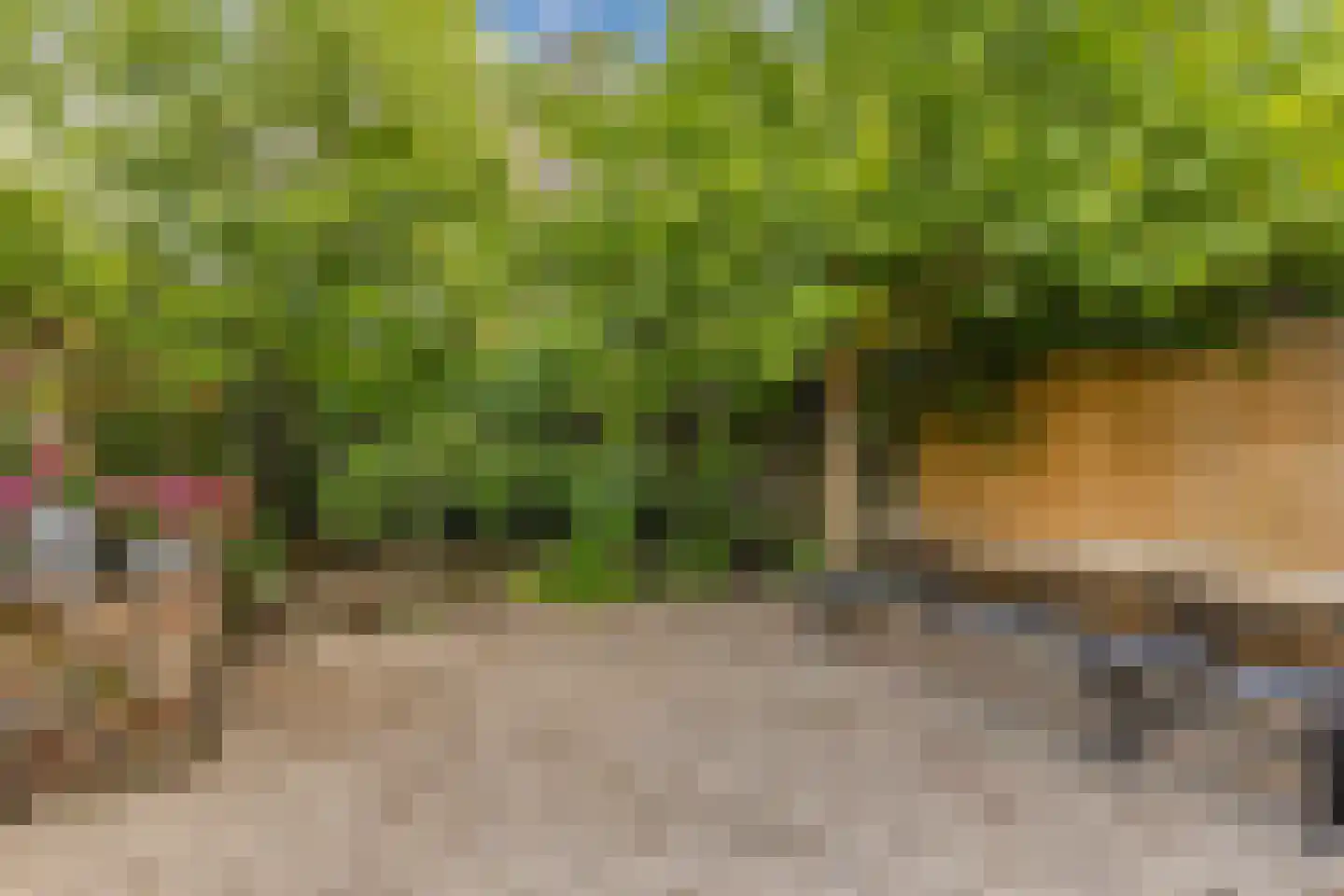 Wibrandus van Haschastraat 3 Oudehaske thumbnail 28