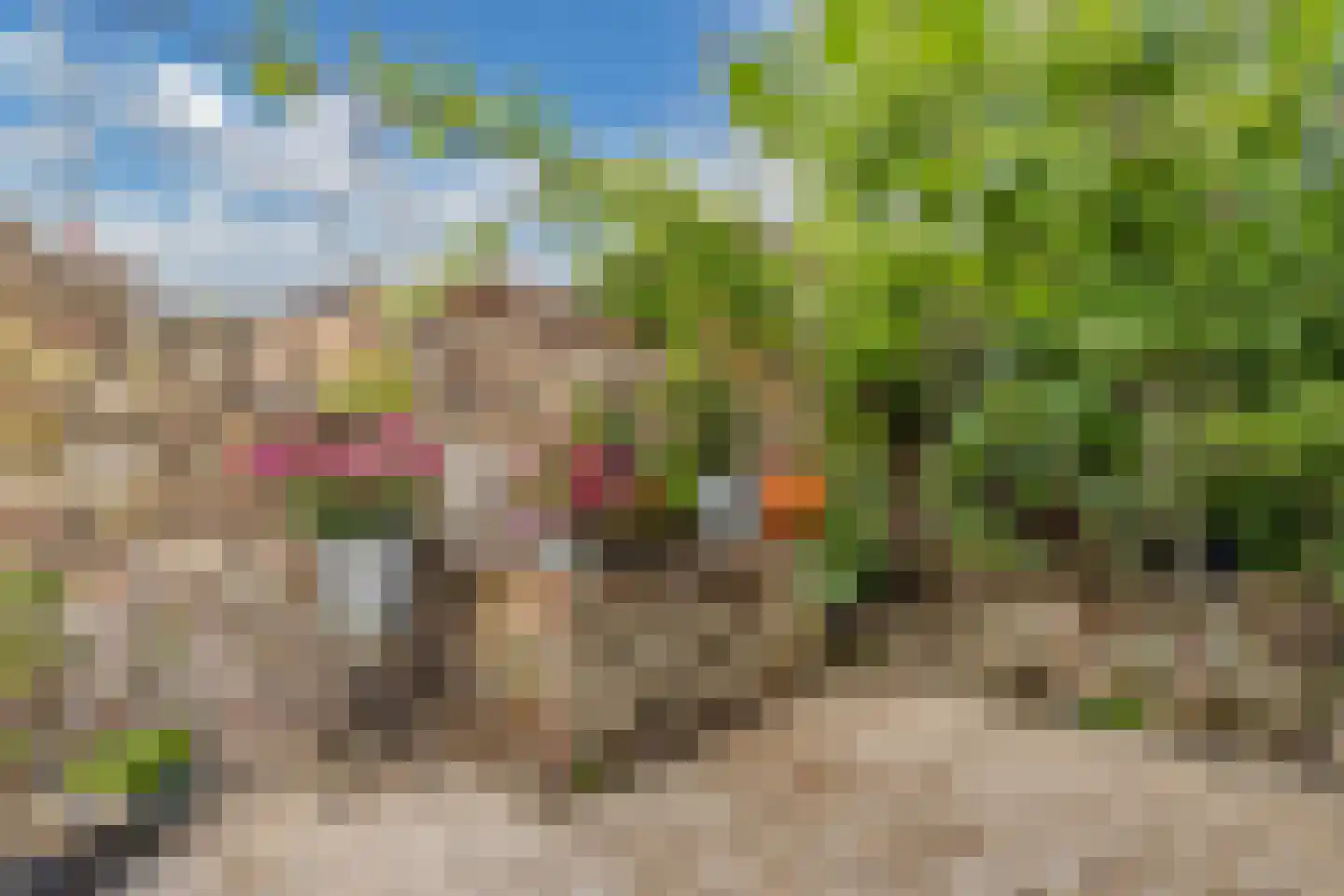 Wibrandus van Haschastraat 3 Oudehaske thumbnail 29