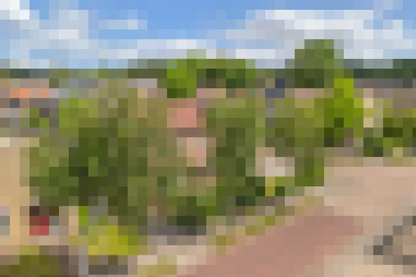 Wibrandus van Haschastraat 3 Oudehaske thumbnail 31