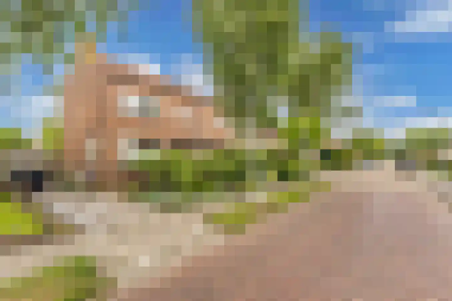 Wibrandus van Haschastraat 3 Oudehaske thumbnail 32