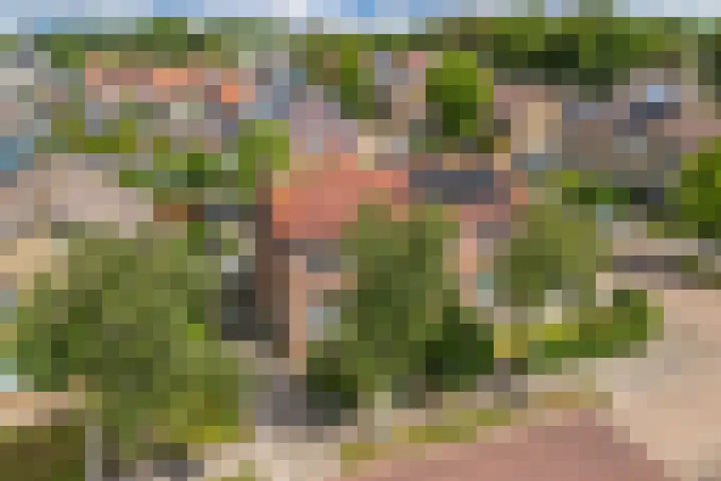 Wibrandus van Haschastraat 3 Oudehaske thumbnail 33