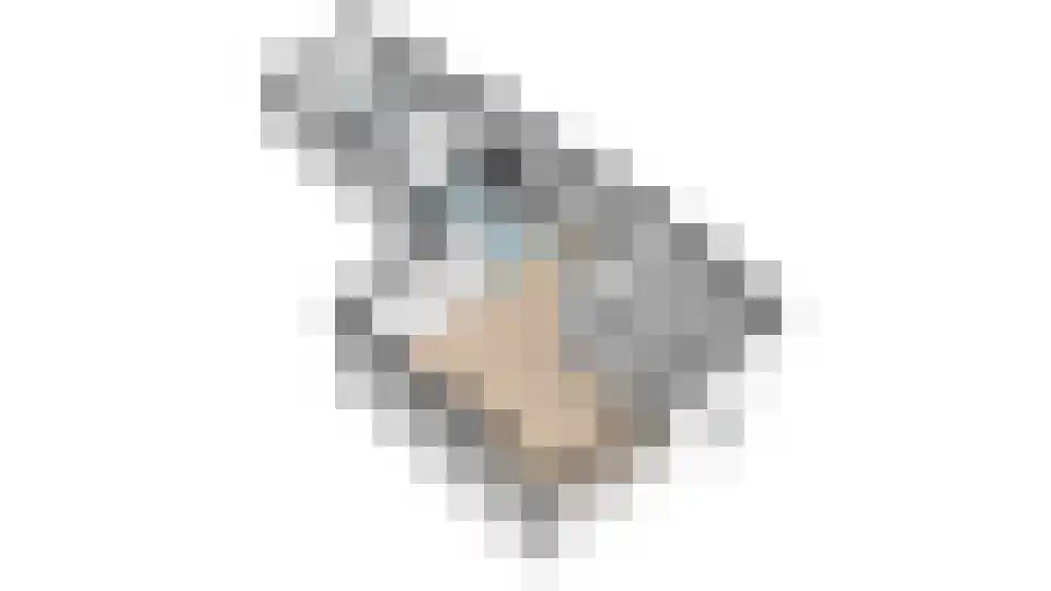 Wibrandus van Haschastraat 3 Oudehaske thumbnail 39