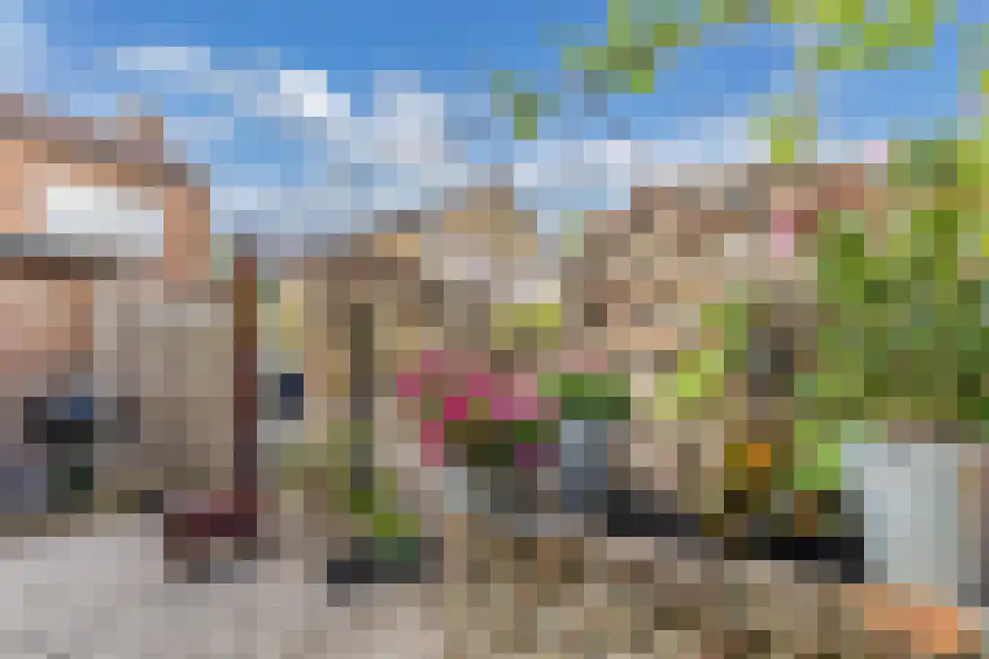 Wibrandus van Haschastraat 3 Oudehaske thumbnail 4