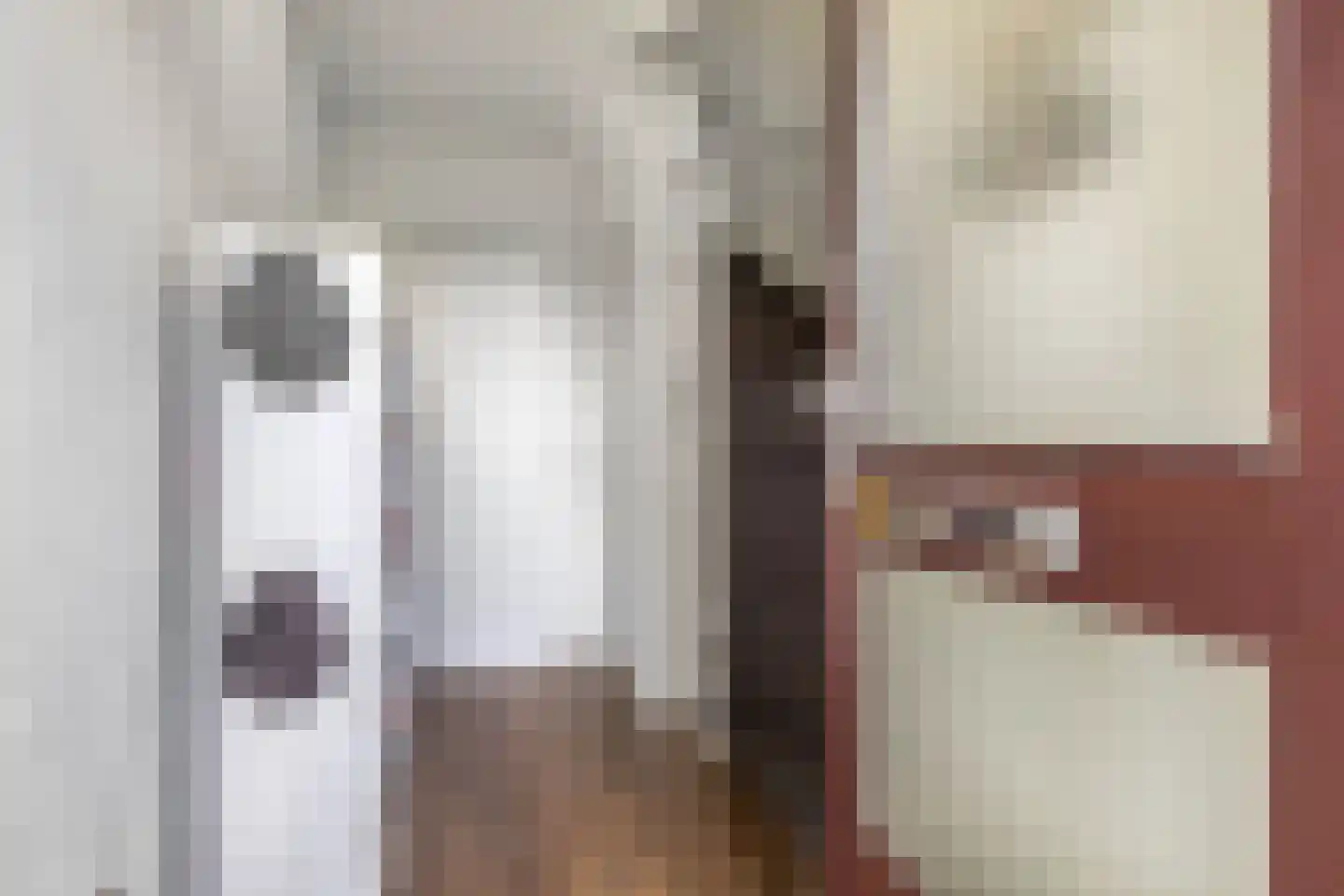 Wibrandus van Haschastraat 3 Oudehaske thumbnail 6