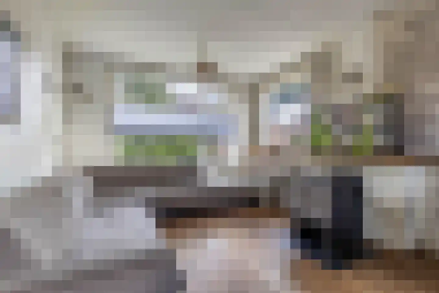 Wibrandus van Haschastraat 3 Oudehaske thumbnail 9
