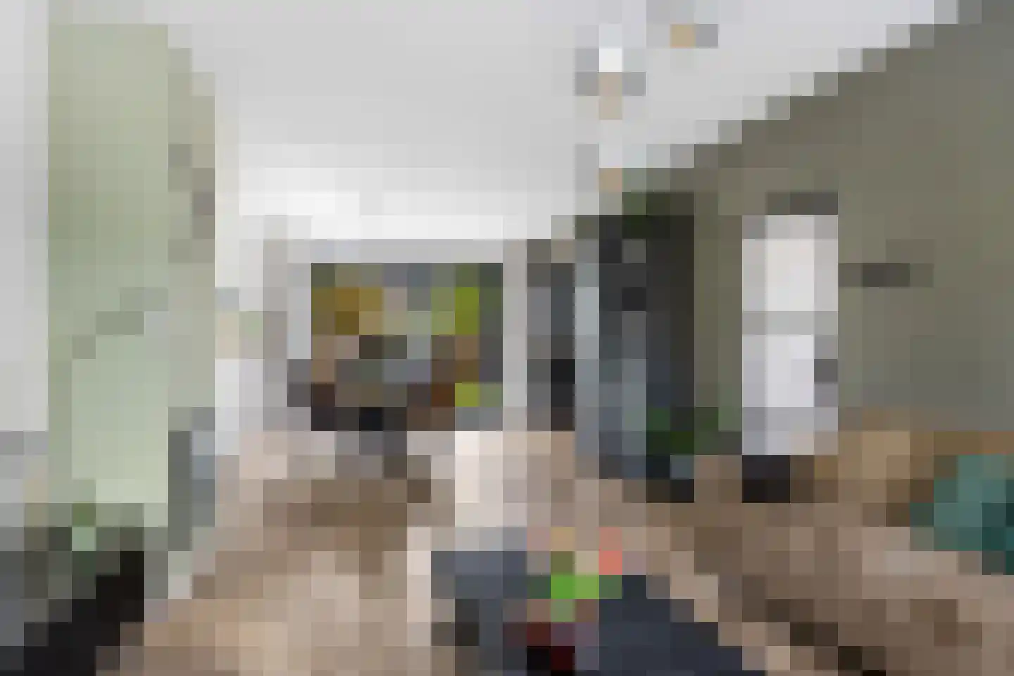 Wibrandusstraat 7 Bolsward thumbnail 7
