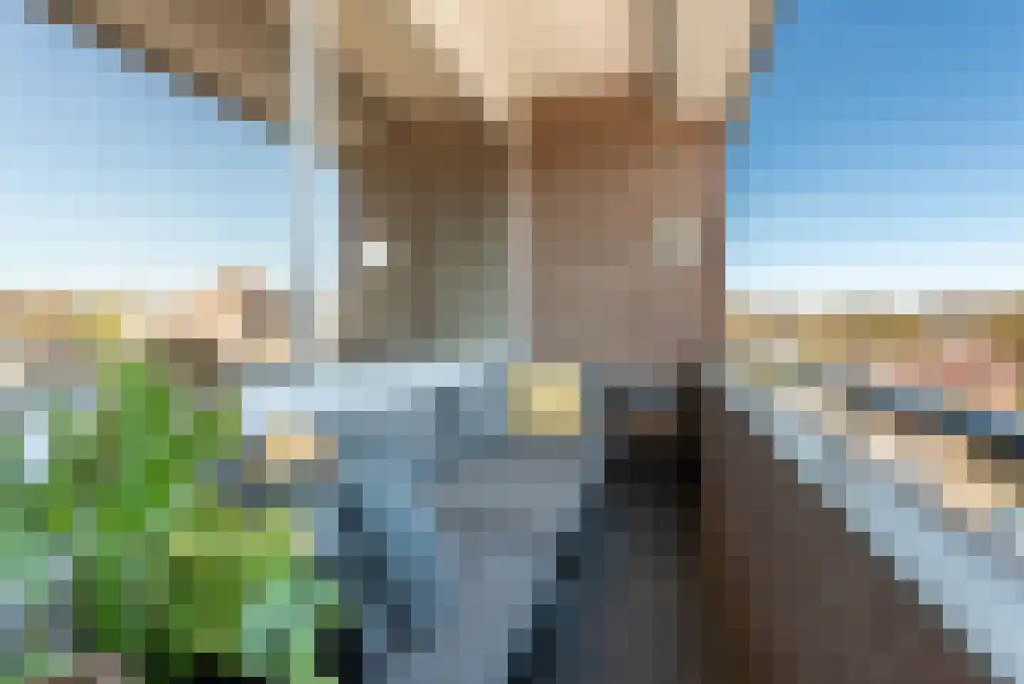 Wichard van Pontlaan 133 Arnhem thumbnail 20