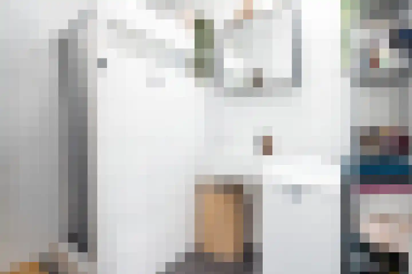 Wichard van Pontlaan 16 Arnhem thumbnail 14