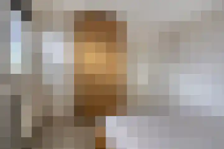 Wichard van Pontlaan 211 Arnhem thumbnail 14